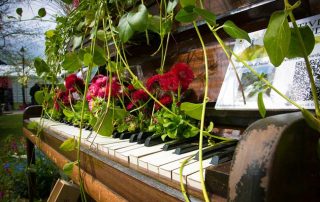 Cheltenham Jazz Festival landscaping