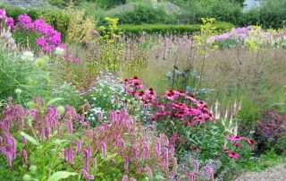 Dove Cottage Nurseries
